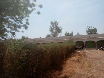Oasis du Sahel Burkina Faso